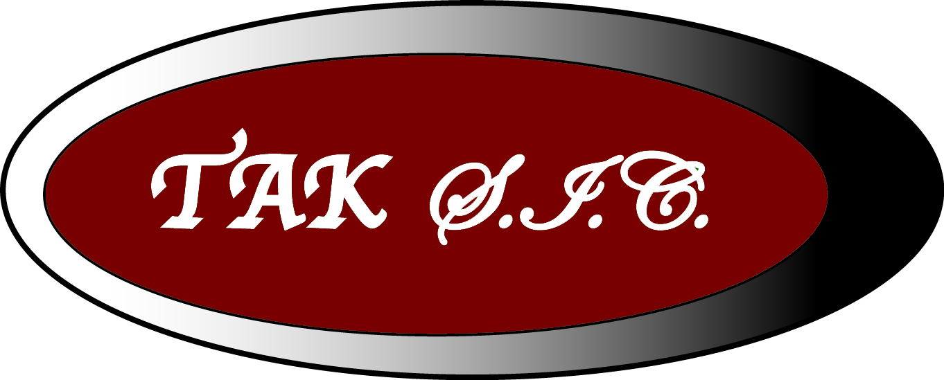 Logo TakSystems